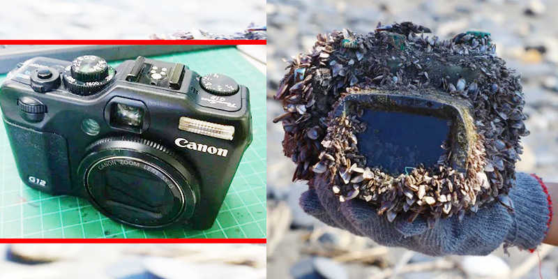 Kamera Ini Jatuh Kedalam Laut dan Kembali Pada Pemilknya Setelah 2 Tahun